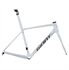 Khung xe đạp Giant TCR Advanced SL Frame And Fork